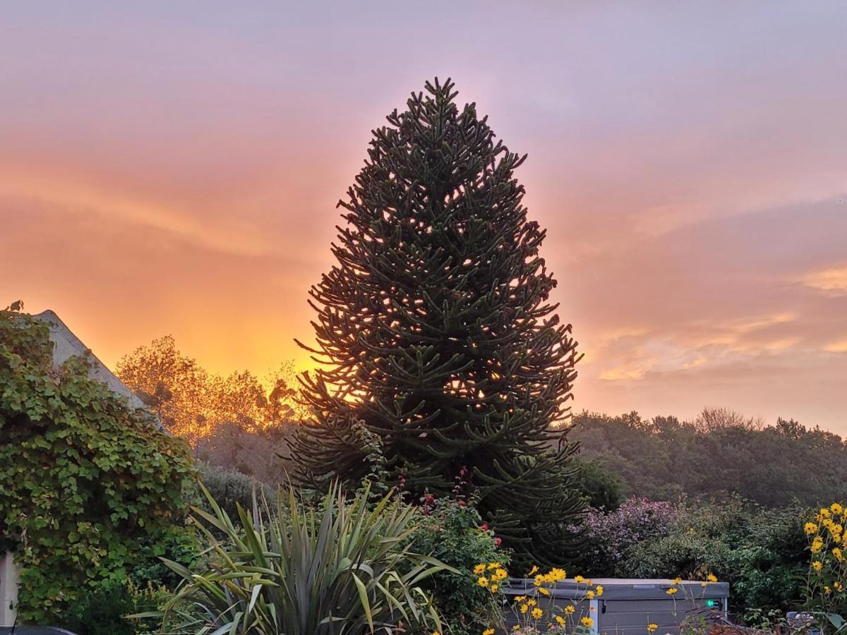 La Maison Keribin Bed & Breakfast Moelan-sur-Mer