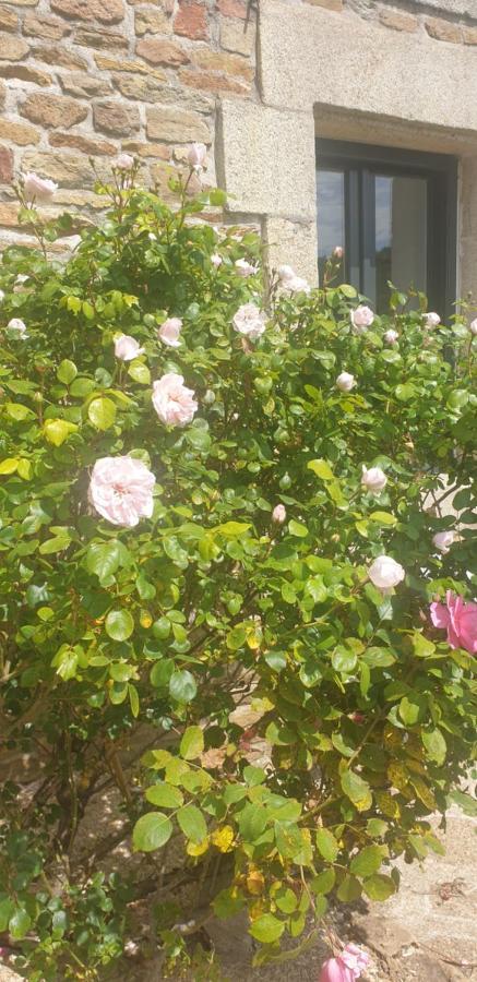 La Maison Keribin Bed & Breakfast *